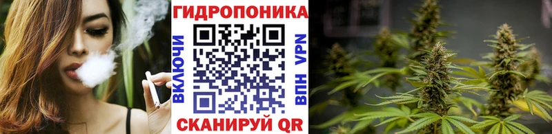 KRAKEN как войти  где купить наркотик  Ленск  Конопля тримм 
